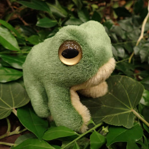 Soft Toy - Jack Tasmanian Tree Frog - Small - Made In Australia
