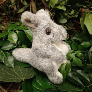 Soft Toy - Grey Kangaroo - small - Made in Australia