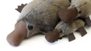 Soft Toy - Platypus -  Medium - Made in Australia