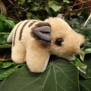 Soft Toy - Tasmanian Tiger - Small - Made in Australia