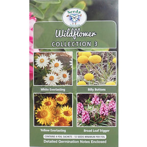 Wildflower Collection -  Seeds - Collection 3