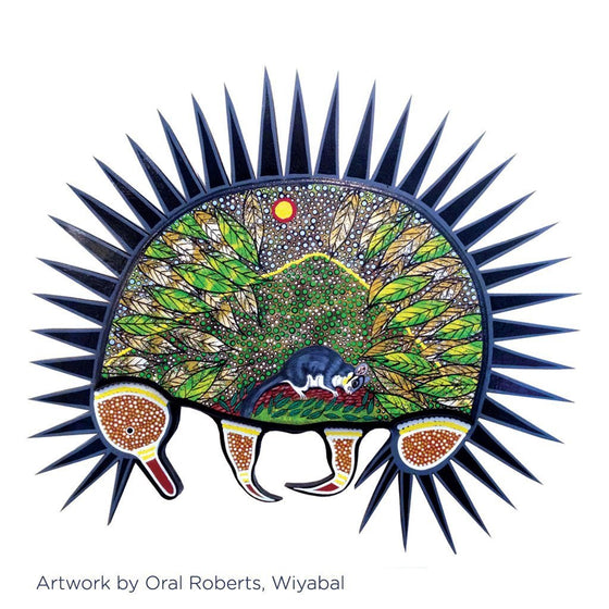 Bundjalung Words for Animals