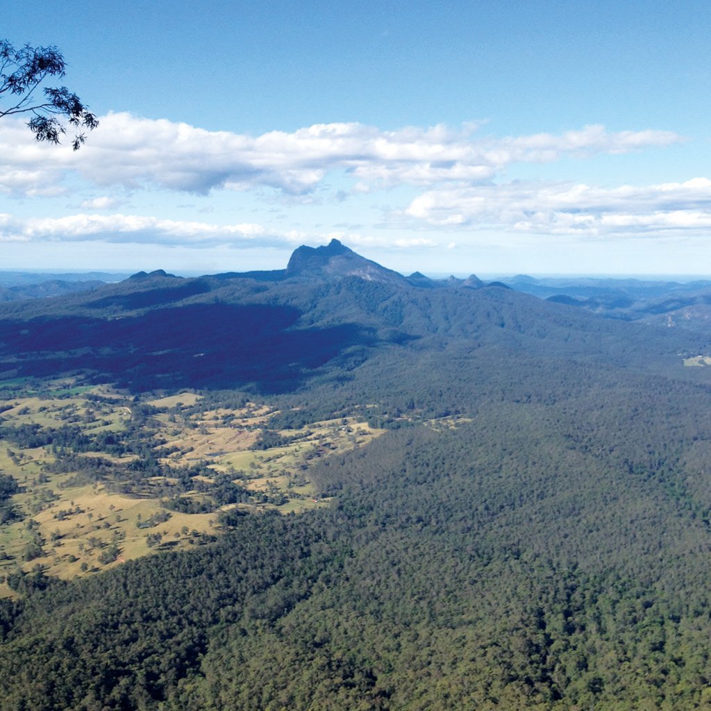 Wollumbin, The Warrior Chief & the Turkey