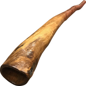 Didgeridoo No:20 Key F