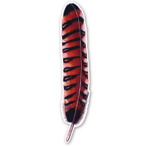 Pheasant Coucal feather Sticker