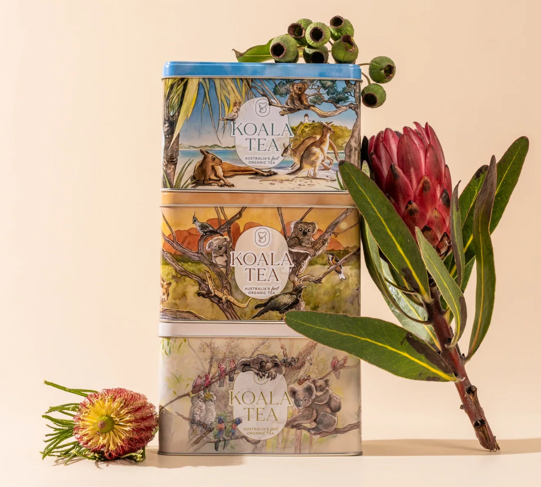 Koala Tea - 25 organic tea bags - Forest