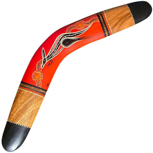Painted Hunting Boomerang - John Rotumah - 43cm