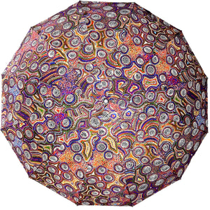 Umbrella - Janie Petyarre Morgan