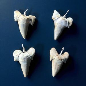Fossil Shark Tooth Pendant