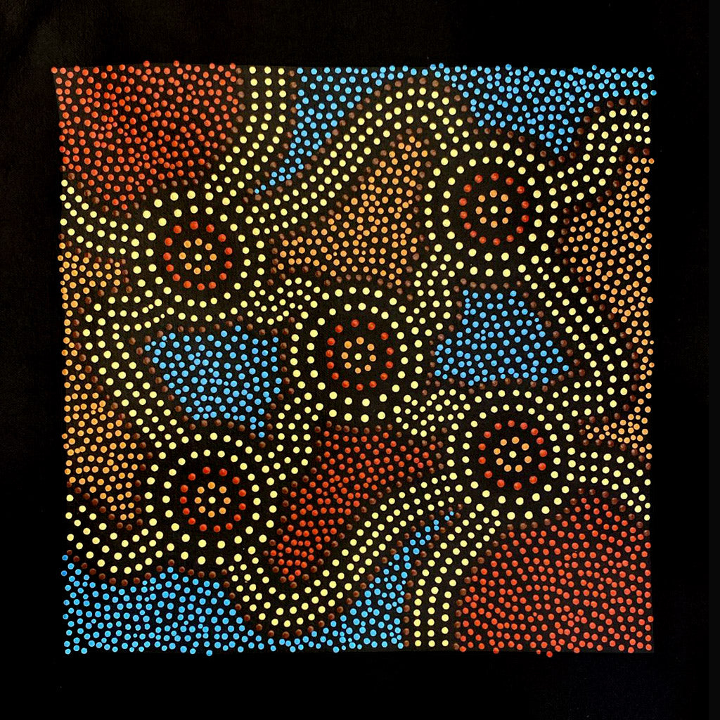 Clans of my Nation - 30 x 30cm - Bundjalung Sean #8