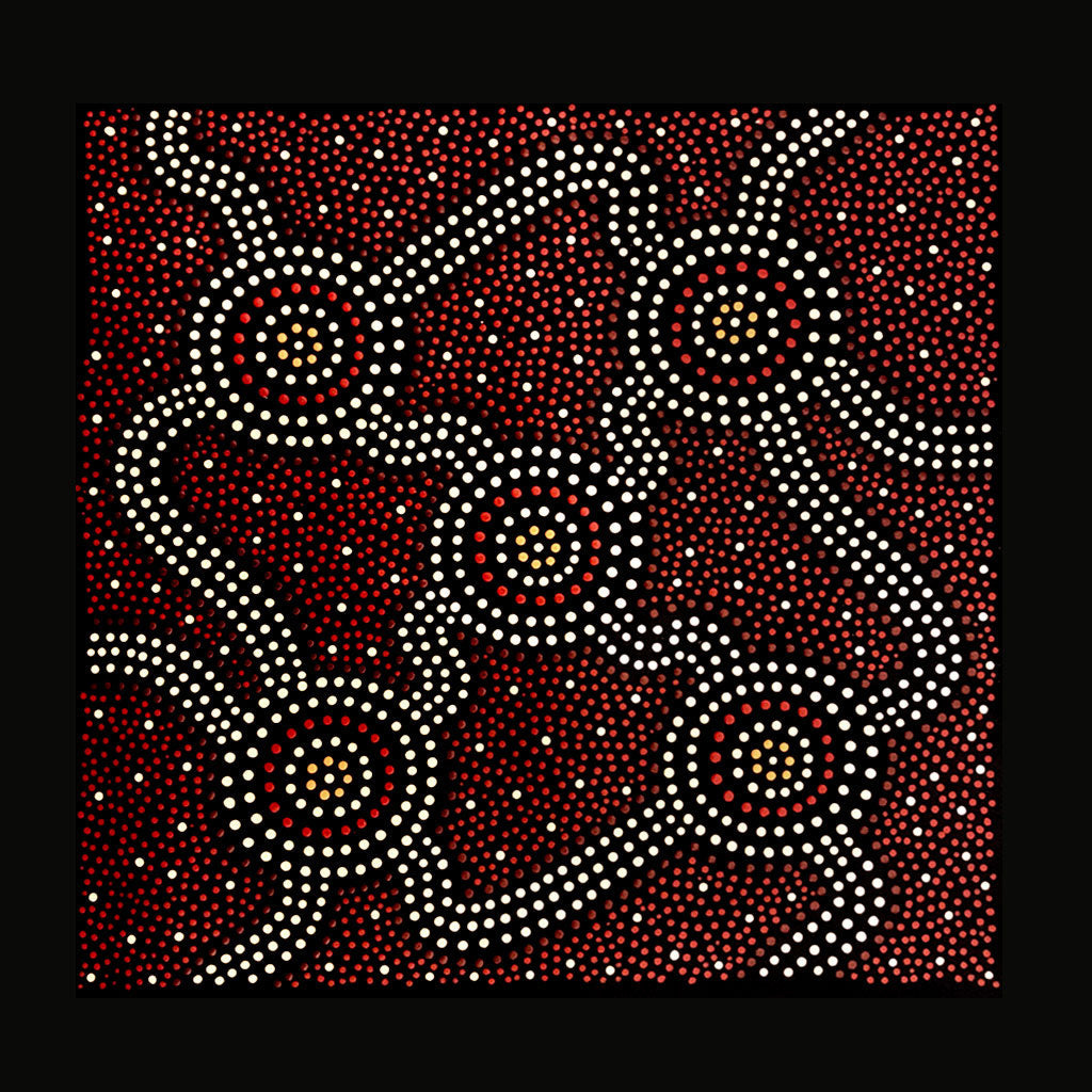Clans of my Nation - 40cm x 40cm - Bundjalung Sean #2