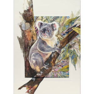 Greeting Card - Koala