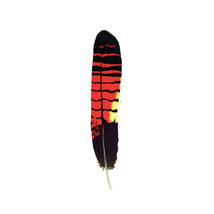 Metallic Red Tailed Black Cockatoo feather sticker