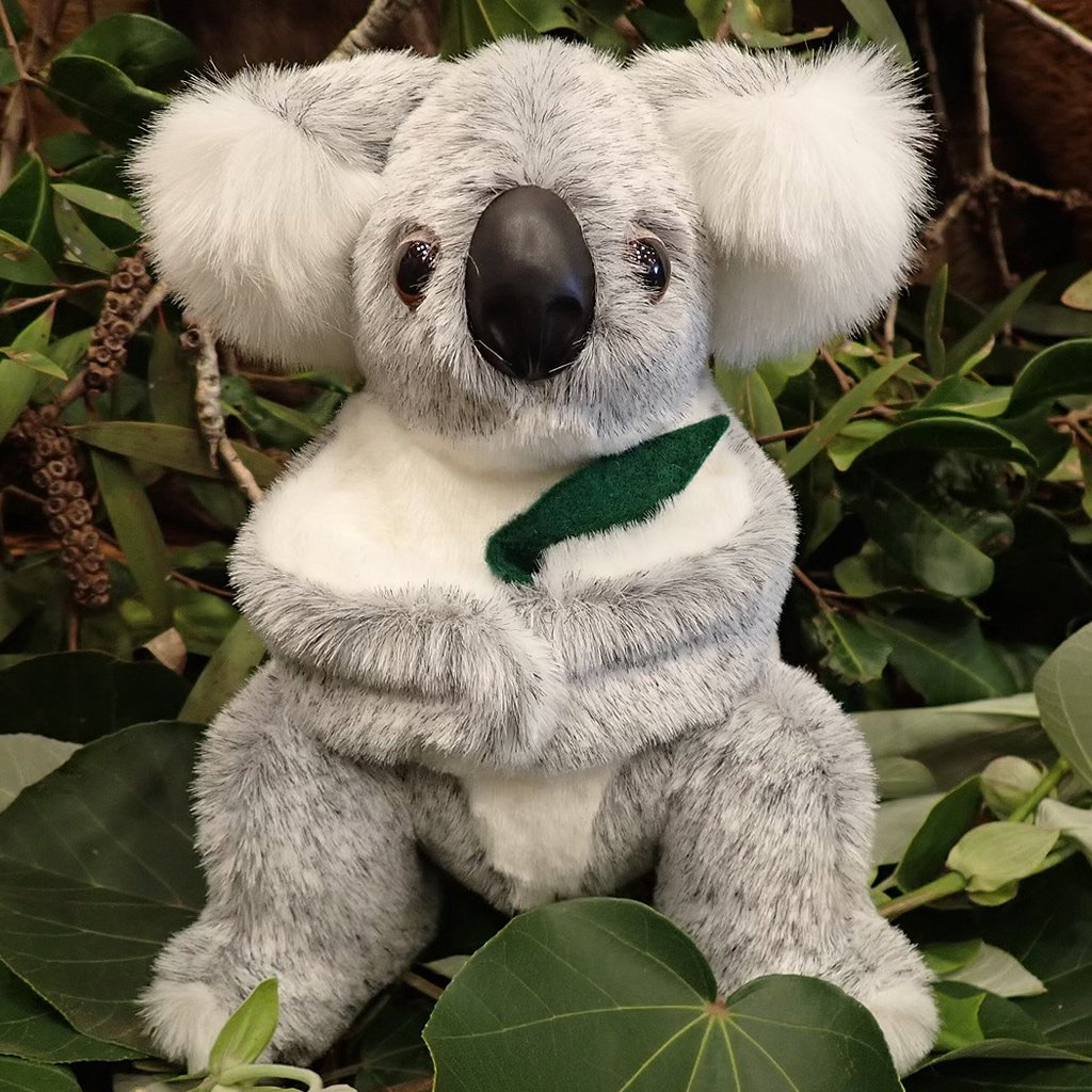 A Papier-mâché Koala 