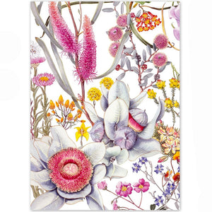 Wildflowers of the Northern Wheatbelt - A6 Greeting Card by Philippa Nikulinsky