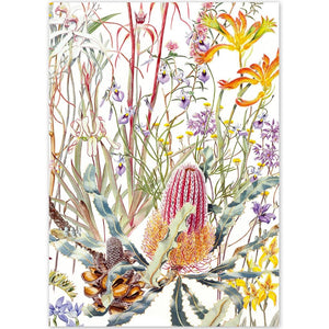Wildflowers of the Swan Coastal Plain - A6 Greeting Card by Philippa Nikulinsky