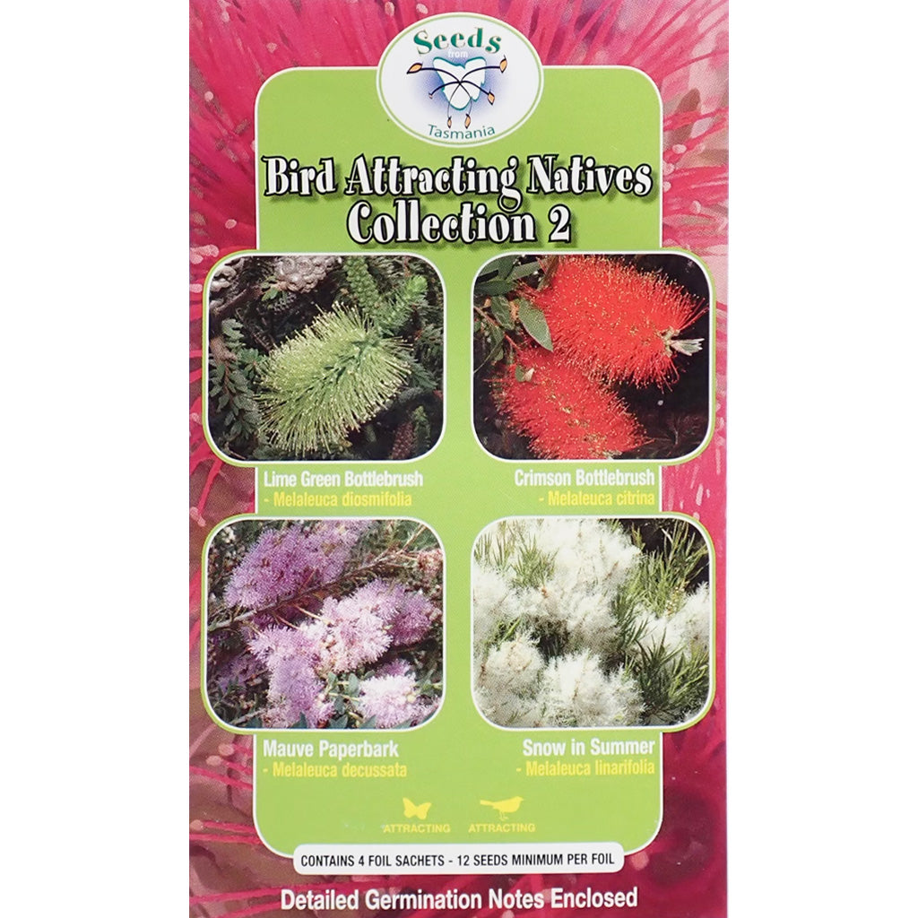 Bird Attracting Natives -  Seeds - Collection 2