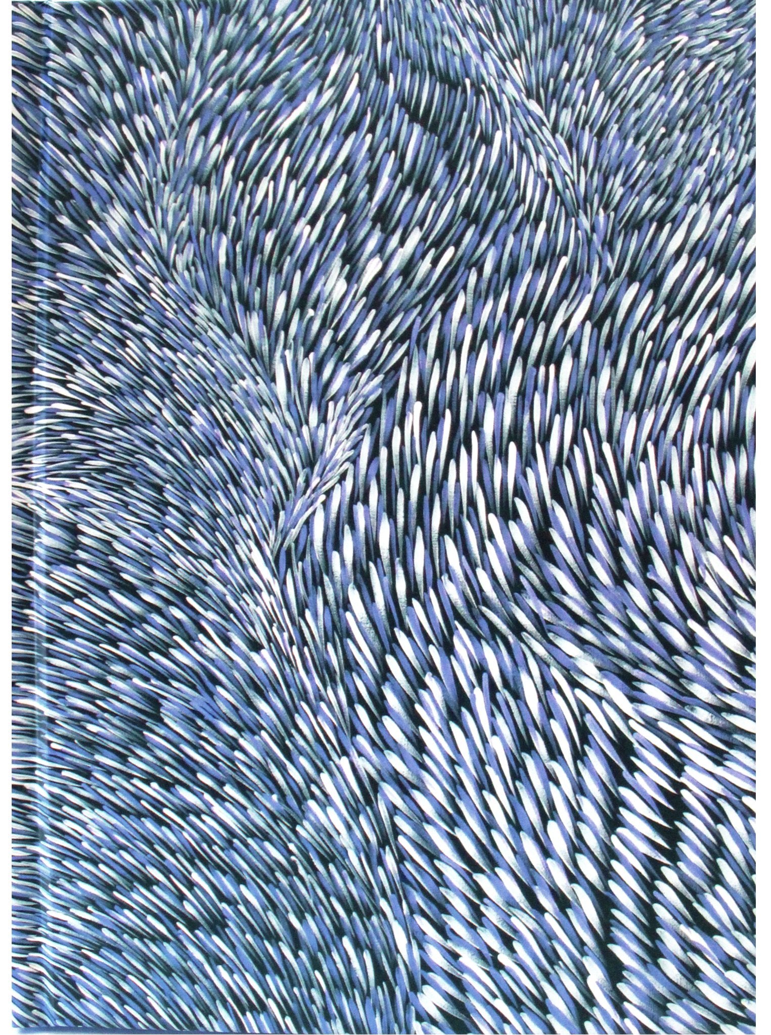 Journal - Blank Hard Cover  - 'Bush leaf dreaming' - Gloria Tamerre Petyarre