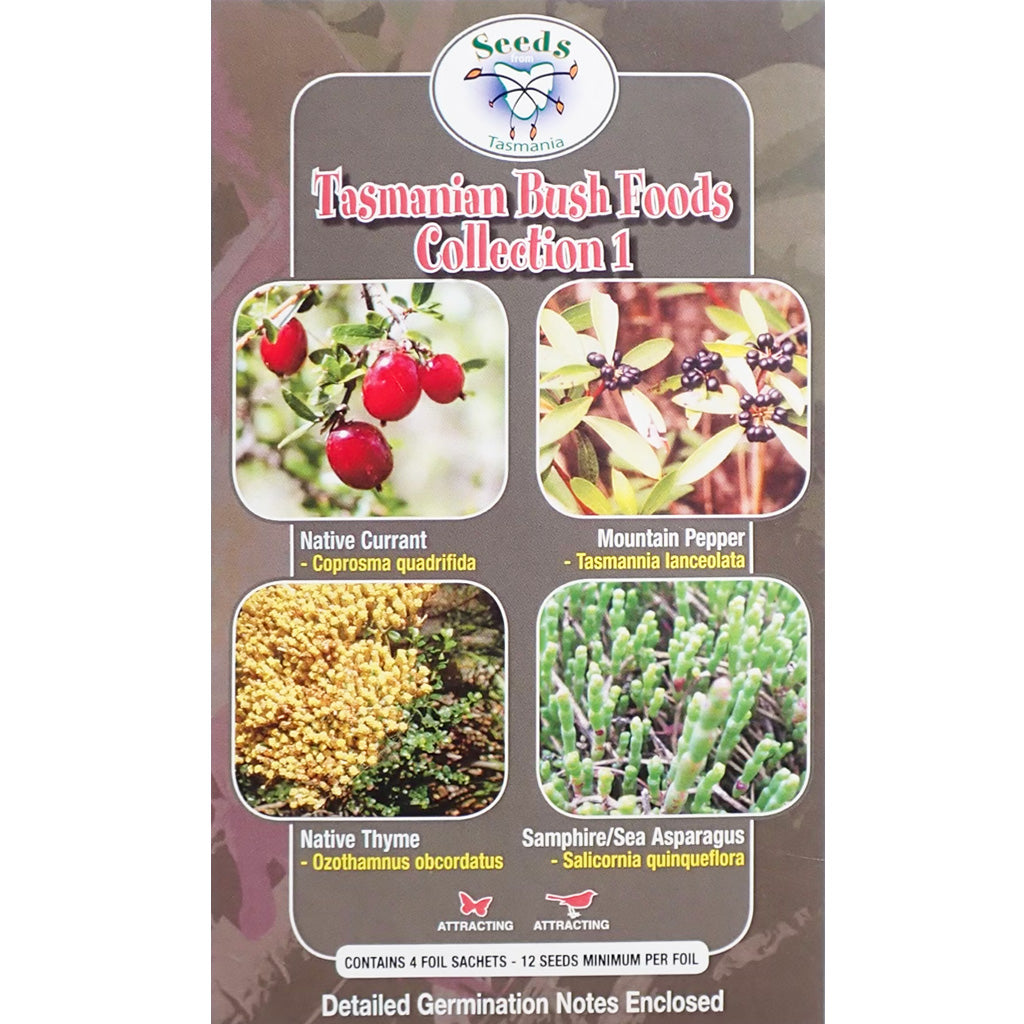 Tasmanian Bush Foods Collection - Seeds - No 1