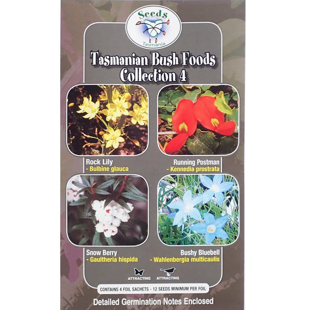 Tasmania Bush Reeds Tasmanian Bush Foods Collection - Seeds - No 4 - Planet Corroboree