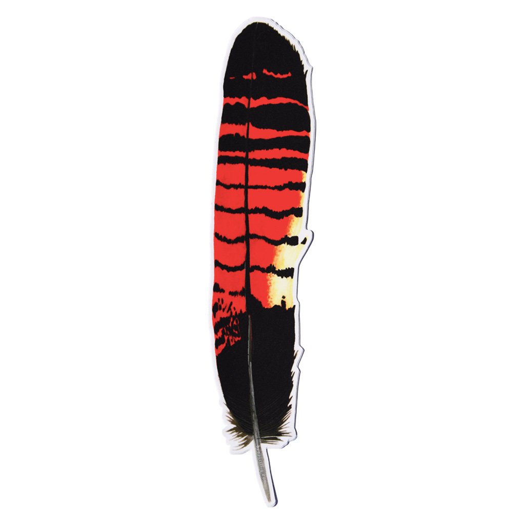 Red Tailed Black Cockatoo Feather