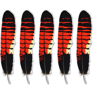 Red Tailed Black Cockatoo feather Sticker x 5