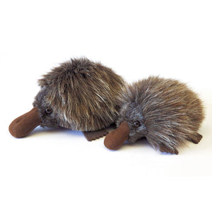 Soft Toy - Spike Echidna - Large  - Made in Australia