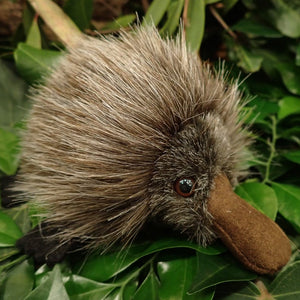 Soft Toy - Spike Echidna - Small  - Made in Australia