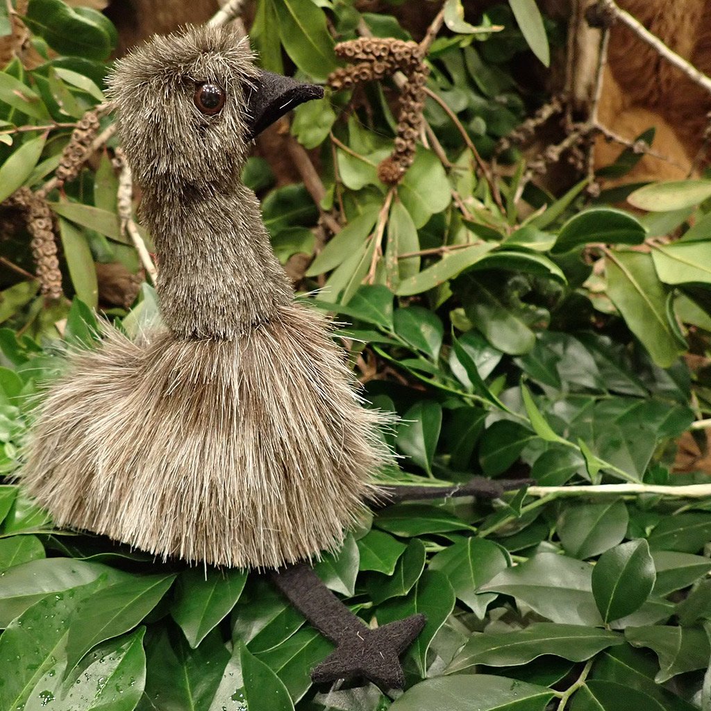 Soft Toy - Eric Emu - Small - Made in Australia