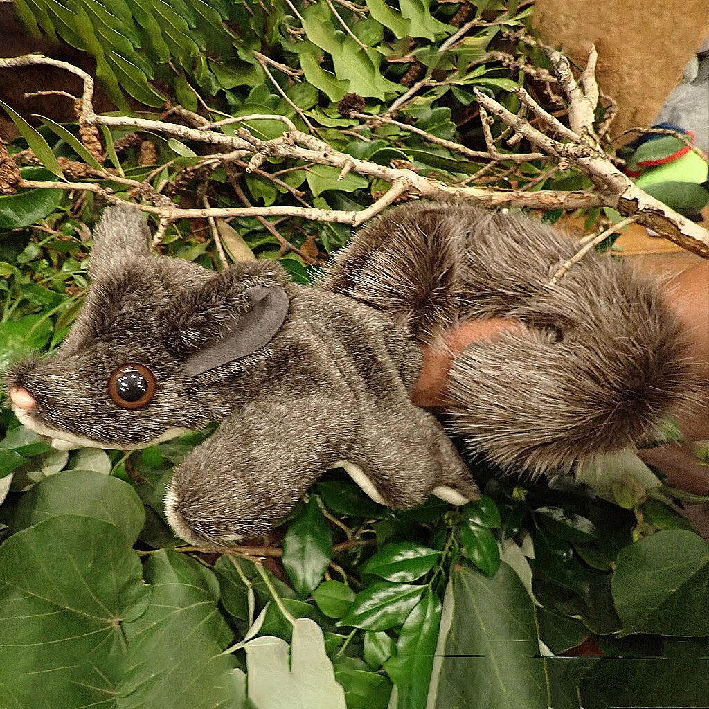 Puppet - Fluffy Yellow Bellied Glider - Made In Australia
