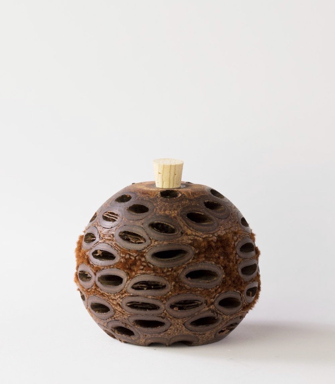 Mini Banksia Aroma Pod