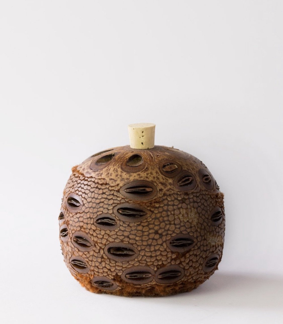 Medium Banksia Aroma Pod