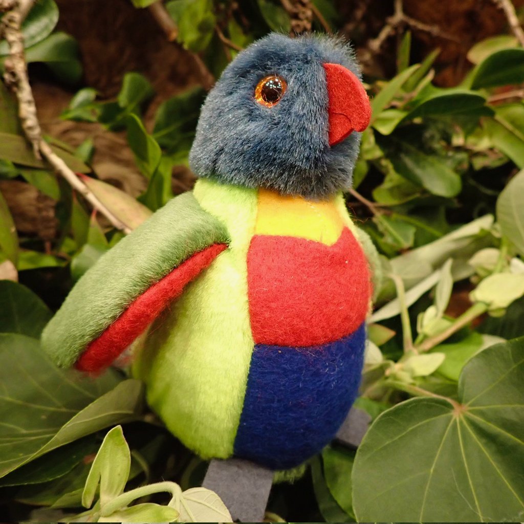 Lorikeet toys best sale