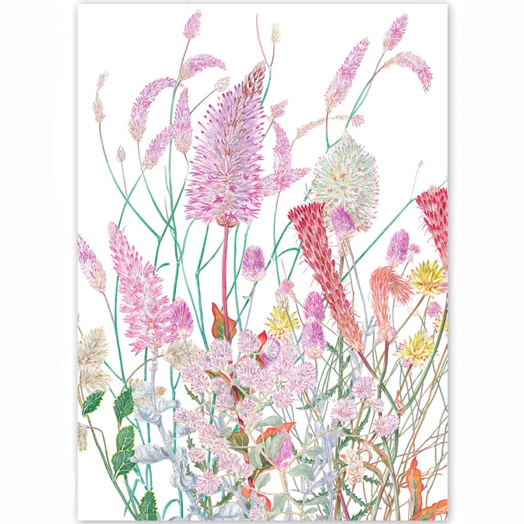 Mulla Mulla - A6 Greeting Card by Philippa Nikulinsky