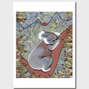 Medium Print - Koala by Oral Roberts        320 x 230 mm