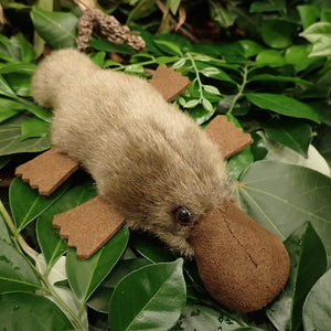 Soft Toy - Platypus -  Medium - Made in Australia
