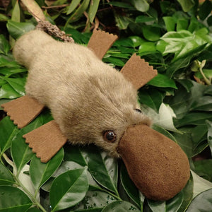 Soft Toy - Platypus - Small - Made in Australia