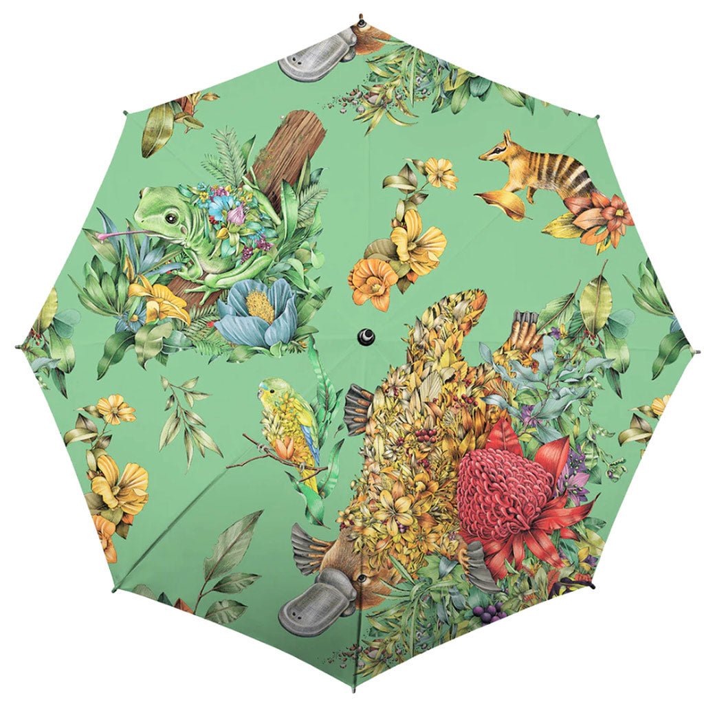 Umbrella - Platypus