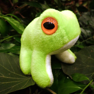 Soft Toy - Ribic Red-eyed Tree Frog - Small - Made In Australia
