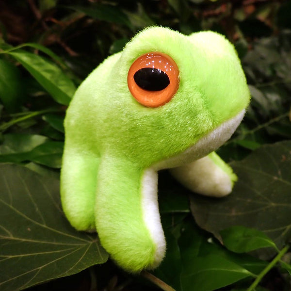 Green frog soft toy discount