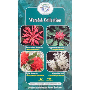 Waratah Collection - Seeds
