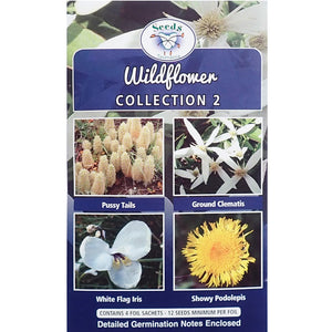 Wildflower Collection -  Seeds - Collection 2