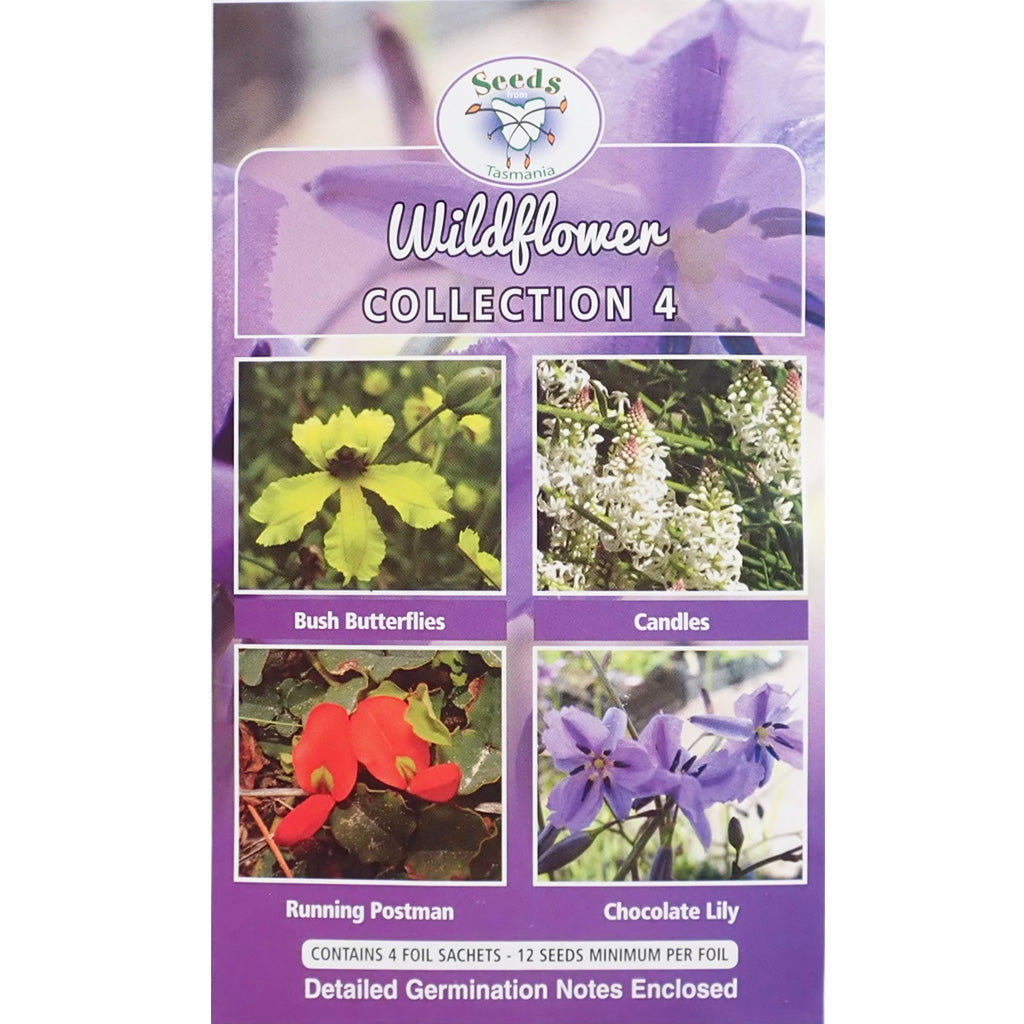 flower seeds tasmania Wildflower Collection - Seeds - Collection 4