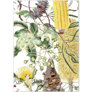 Wildflowers of the Jarrah Forest - A6 Greeting Card by Philippa Nikulinsky