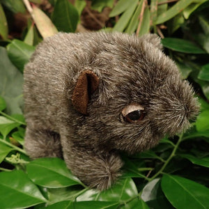 Soft Toy - Wombat - Small - Made in Australia